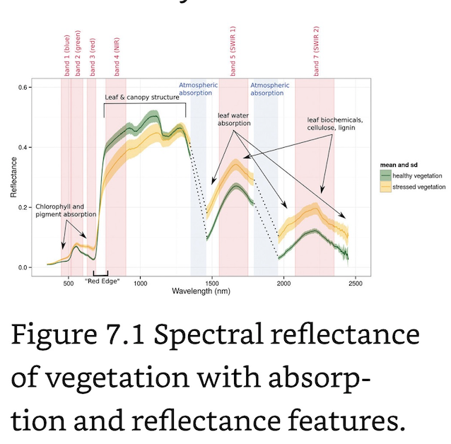 Spectral Reflection-Absorption of Vegetation.png