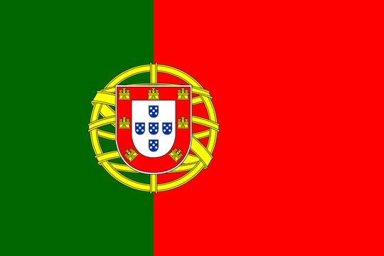 Portuguese Language Basics (Português)