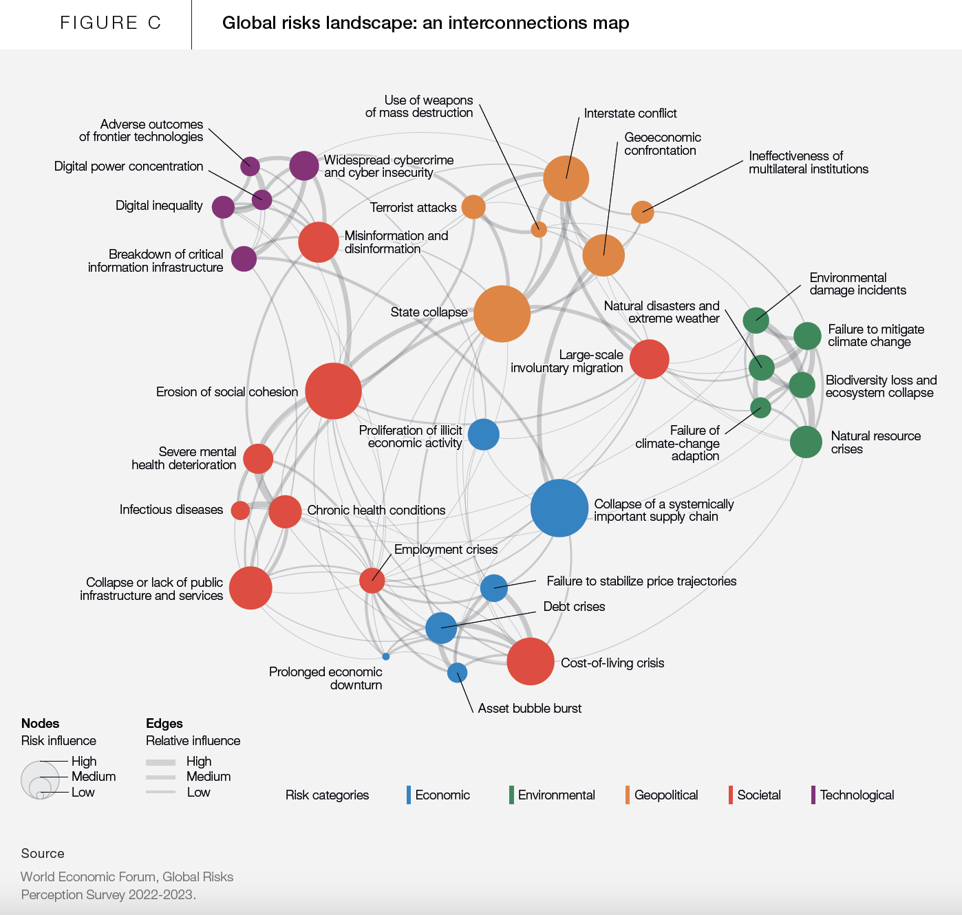 Figure C Global Risk Landscape.png