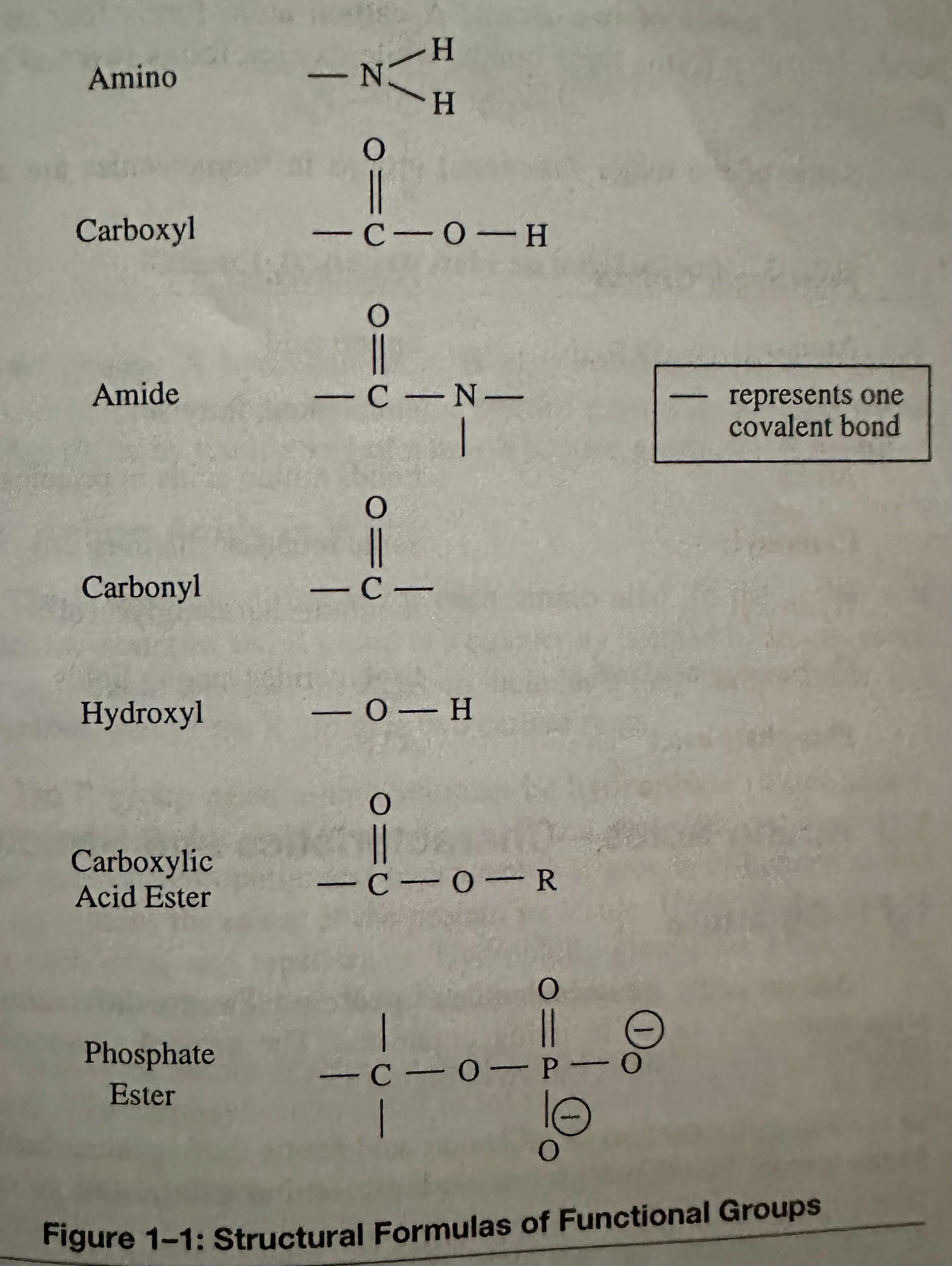 Structural Formula of Functional Groups.jpeg