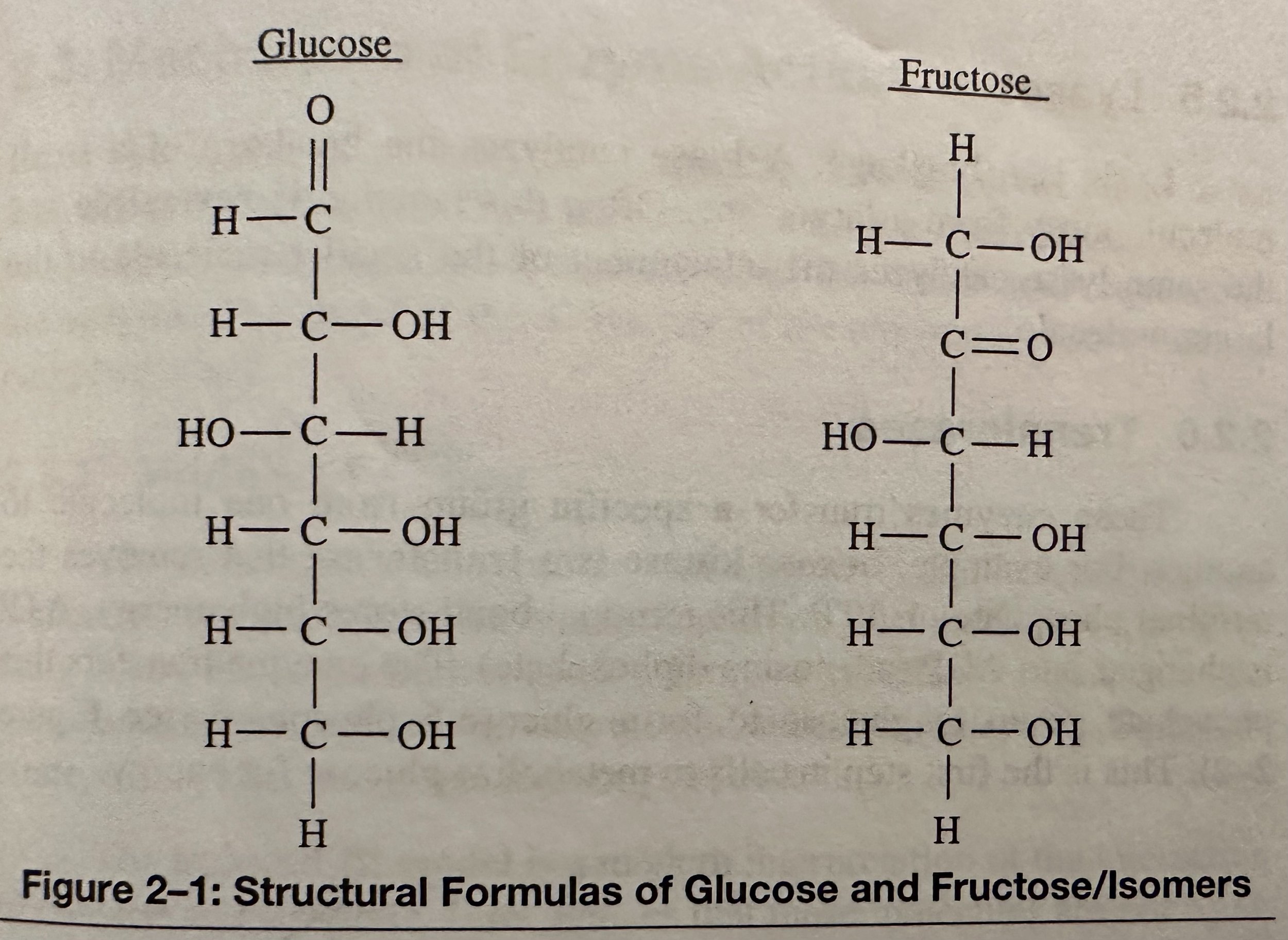 Structural Formula of Glucose and Fructose.jpeg