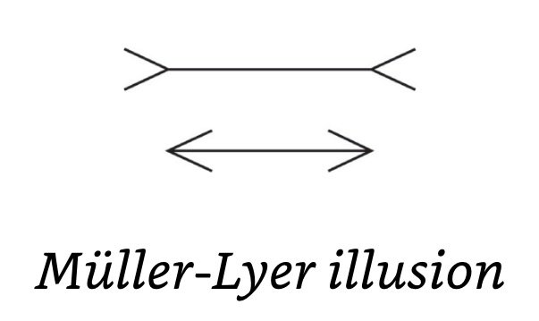 Müller-Lyer illusion.jpeg
