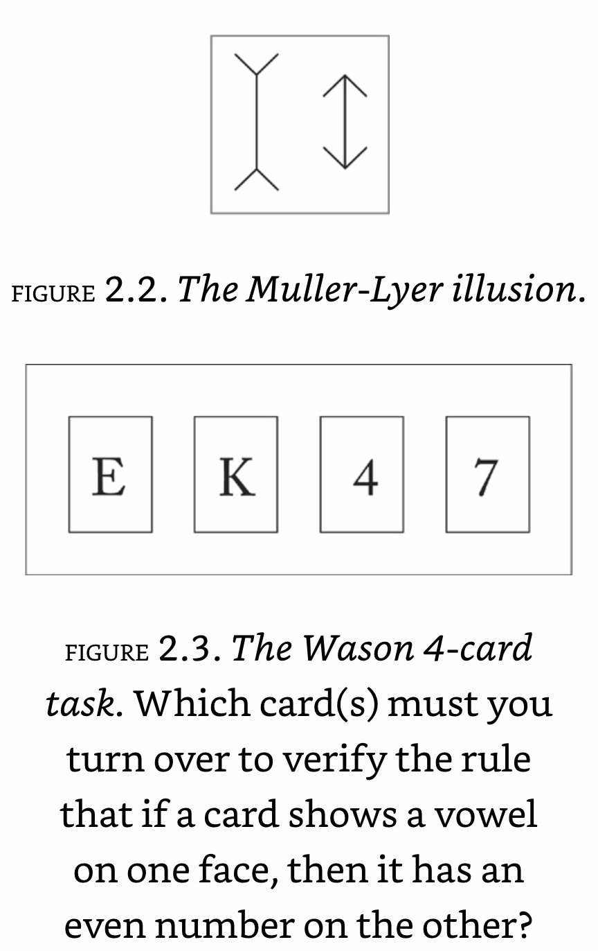 The Muller-Lyer illusion.jpeg