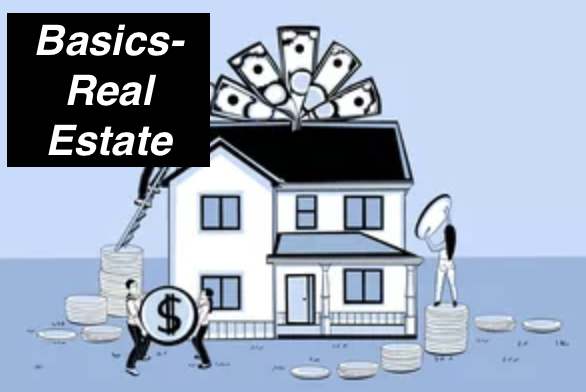 Basics- Real Estate
