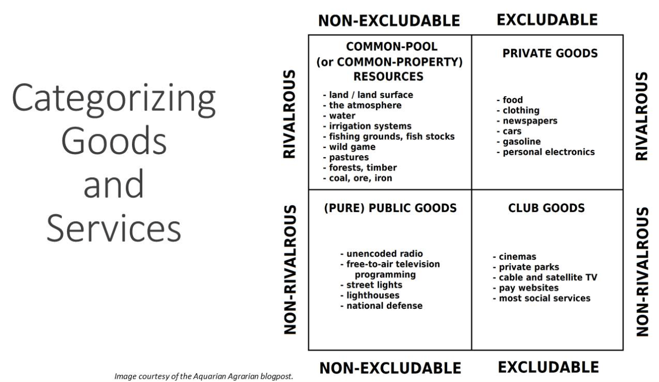 Categorizing Goods and Services.png