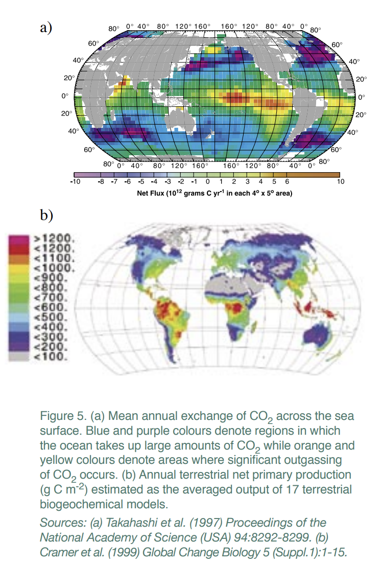 Mean Annual Exchange of CO2 across the sea surface.png