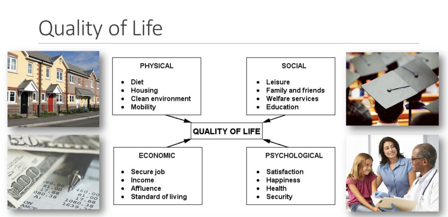 Quality of Life Factors.png