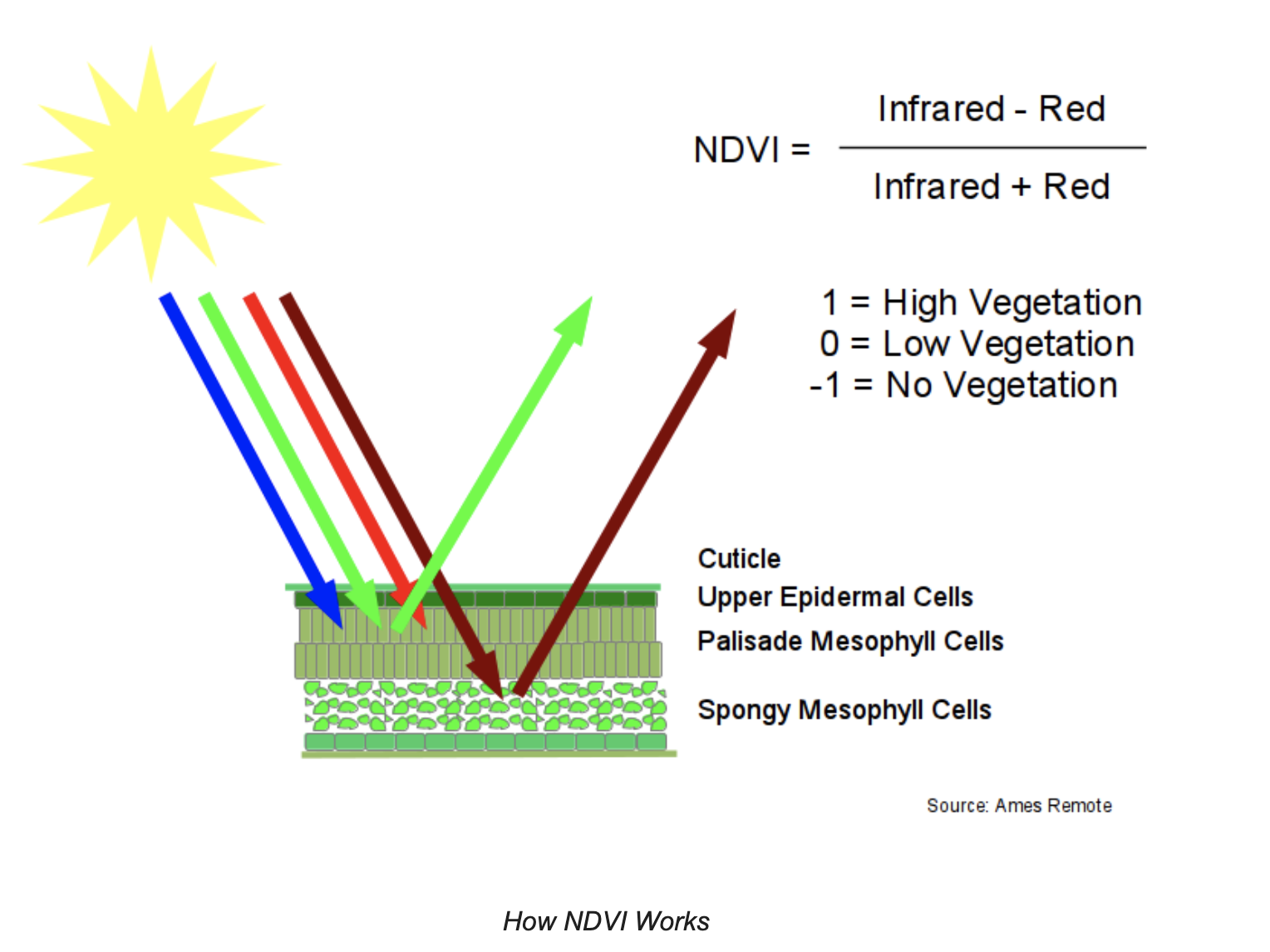 How NDVI Works.png