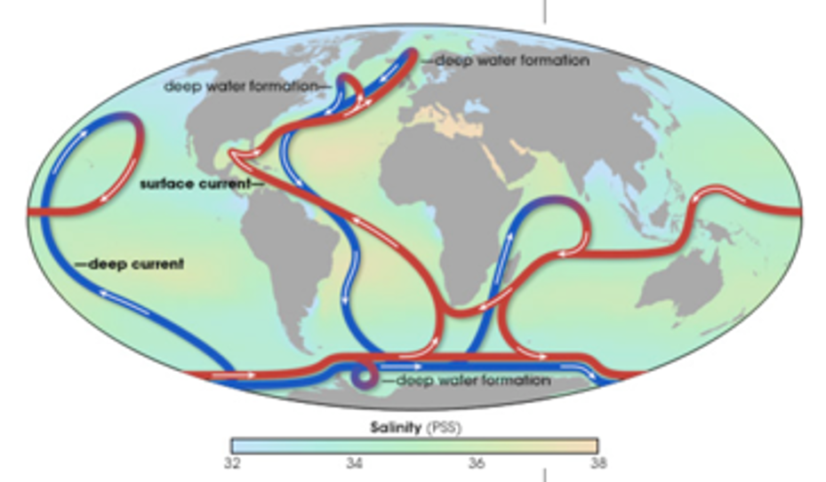 2005 Riebeek Thermohaline Circulation.png