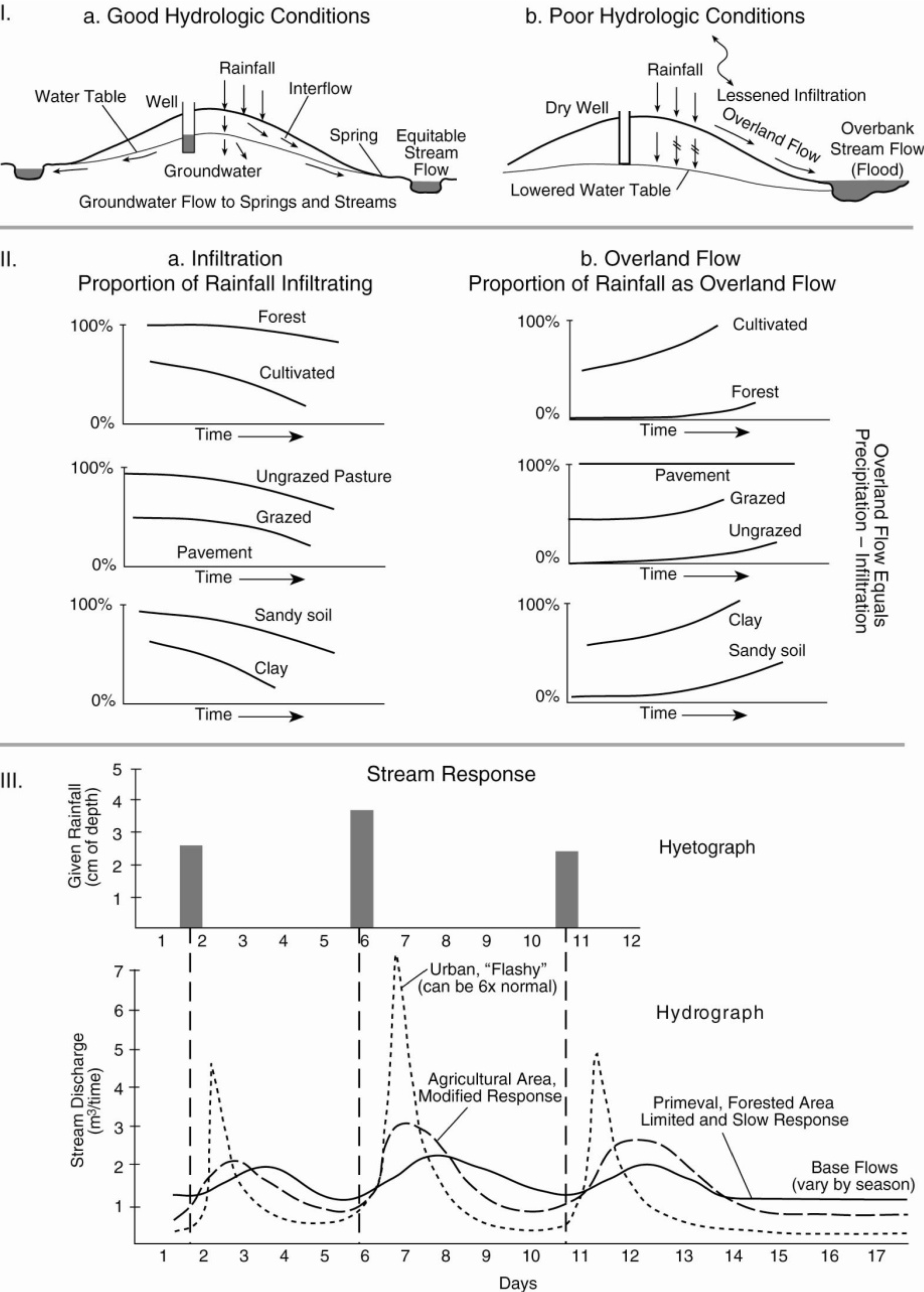 Precipitation Response.png