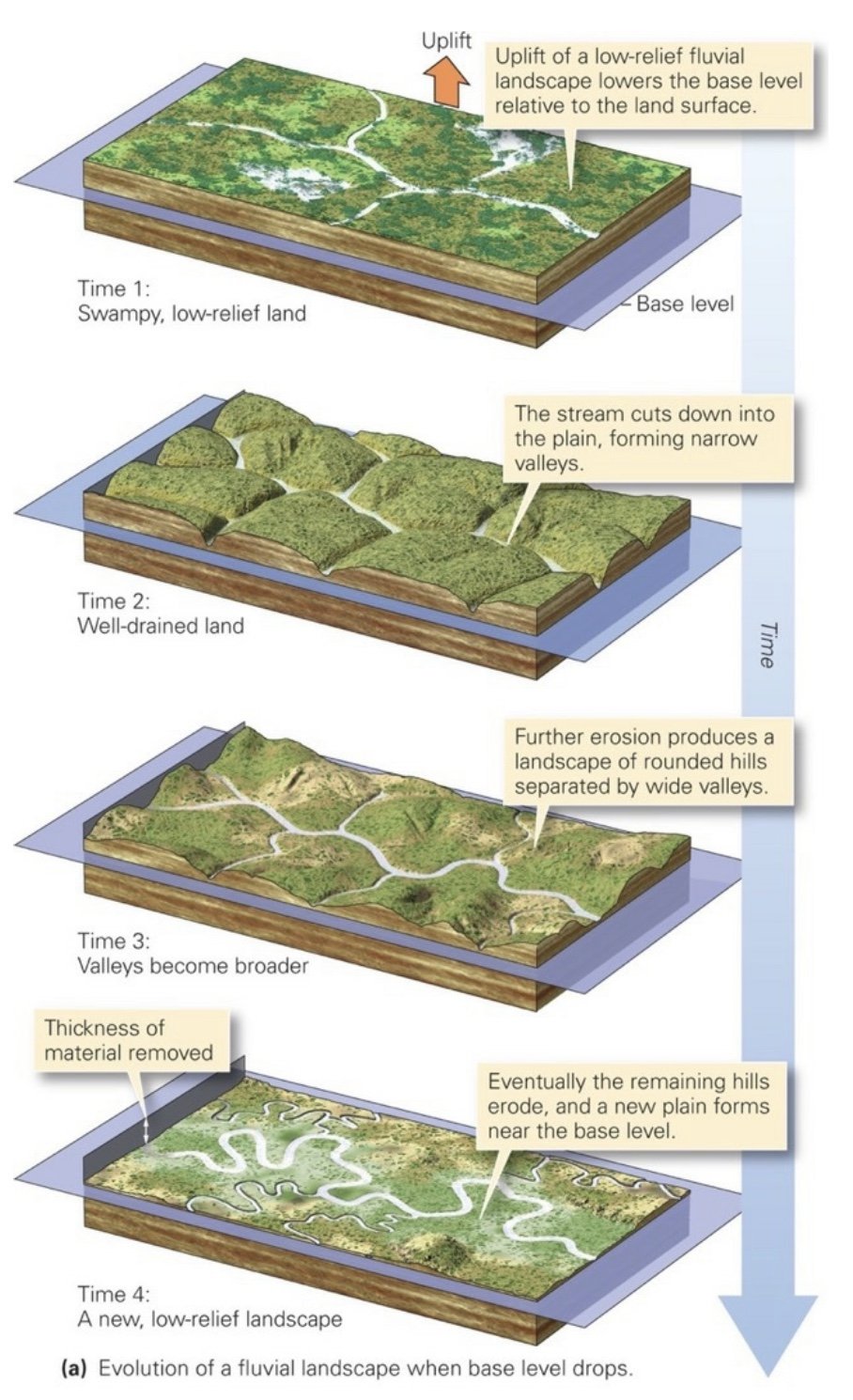 Evolution of a Fluvial Landscape.jpeg