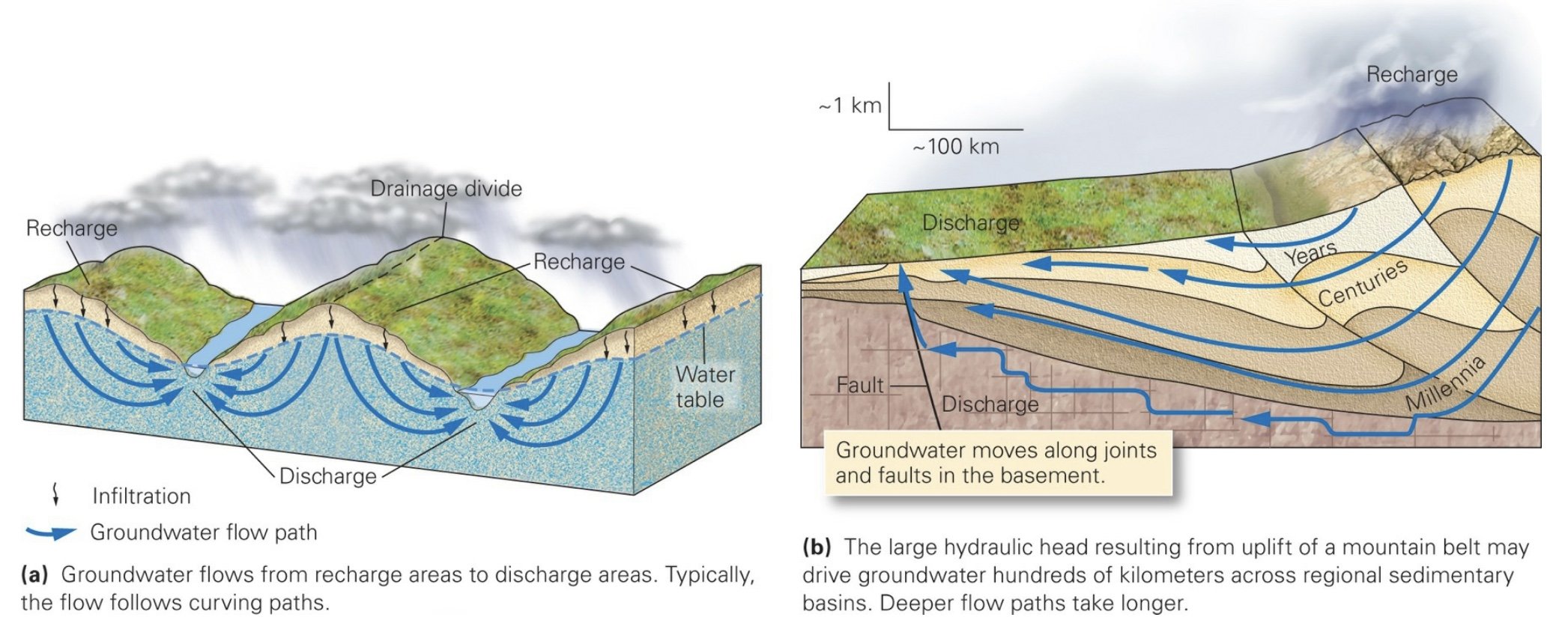 Groundwater Discharge.jpeg