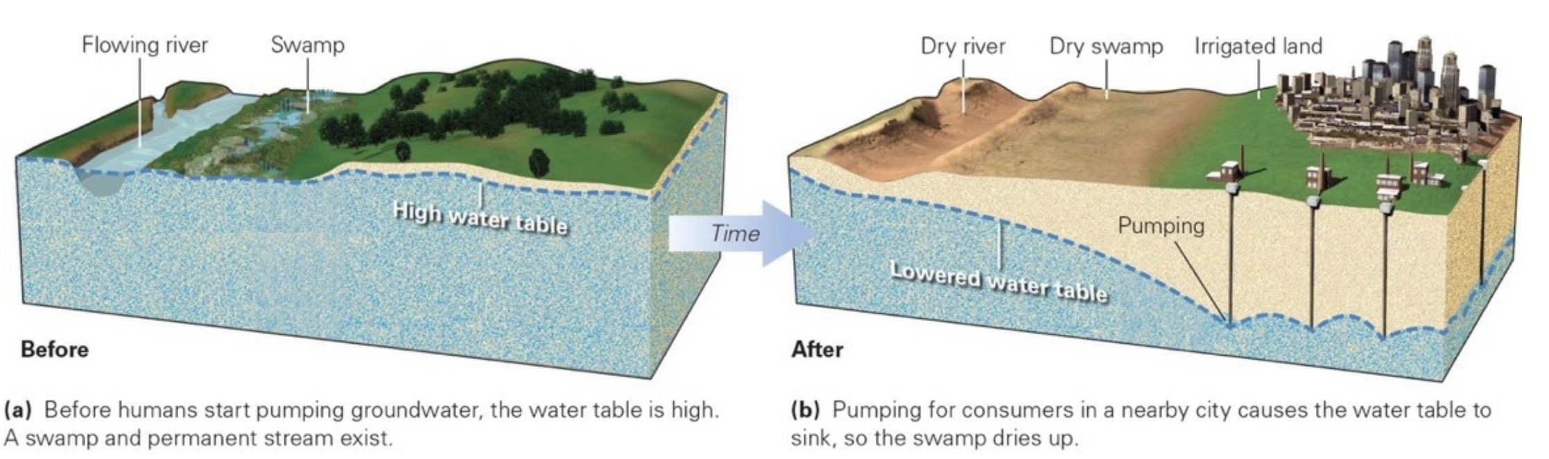 Lowering Water Table.jpeg