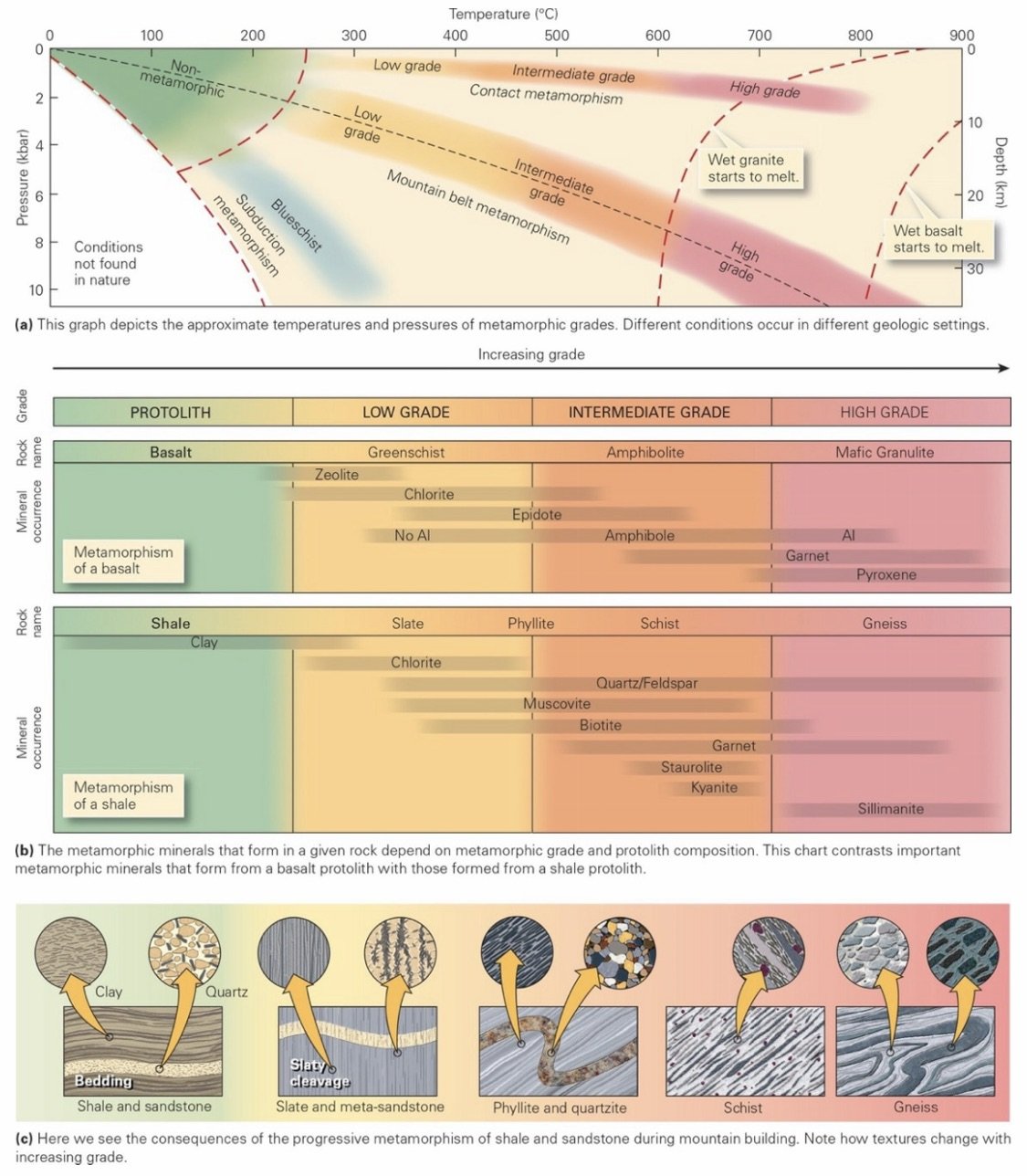 Metamorphic FAcies.jpeg