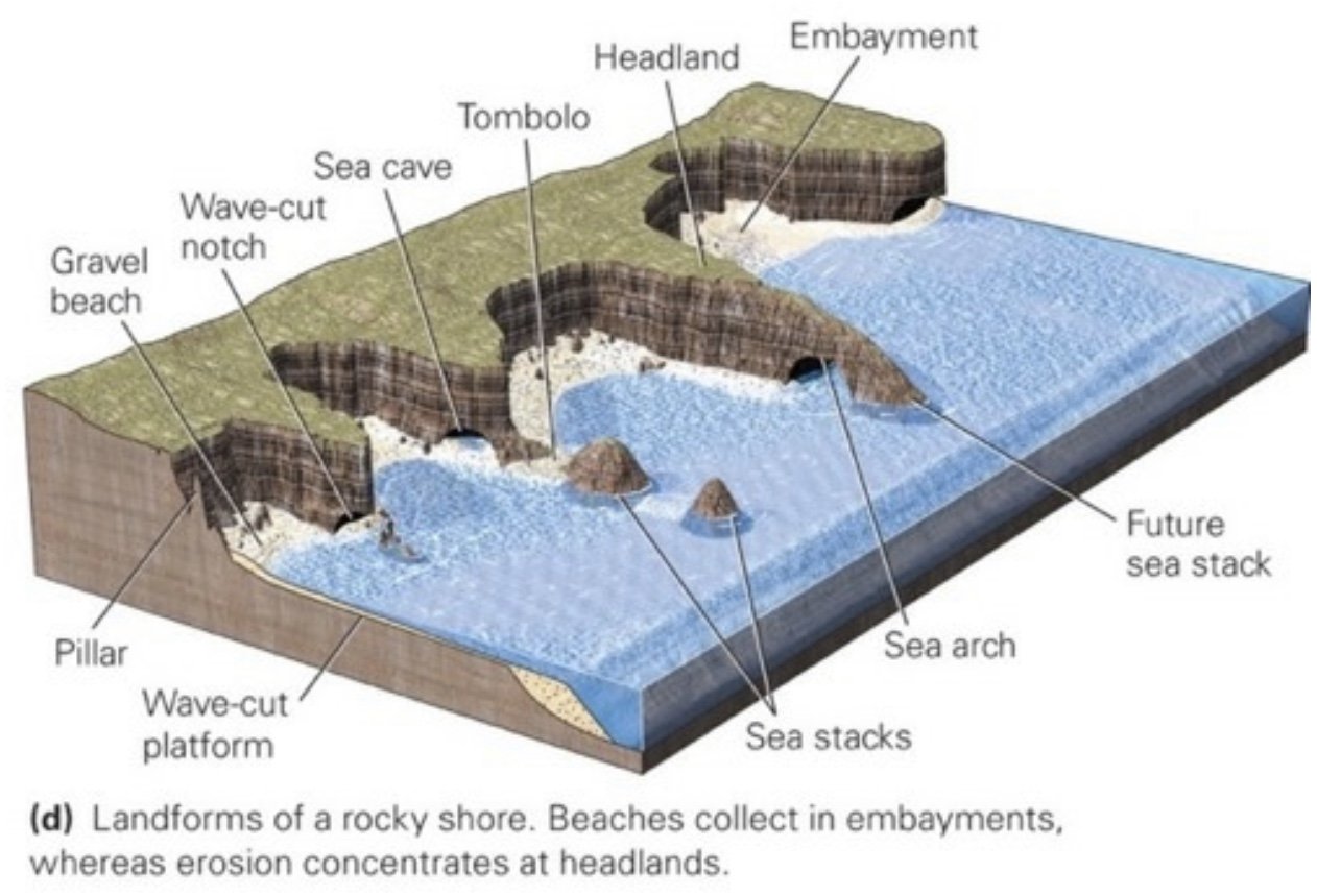 Rocky Shore Landforms.jpeg