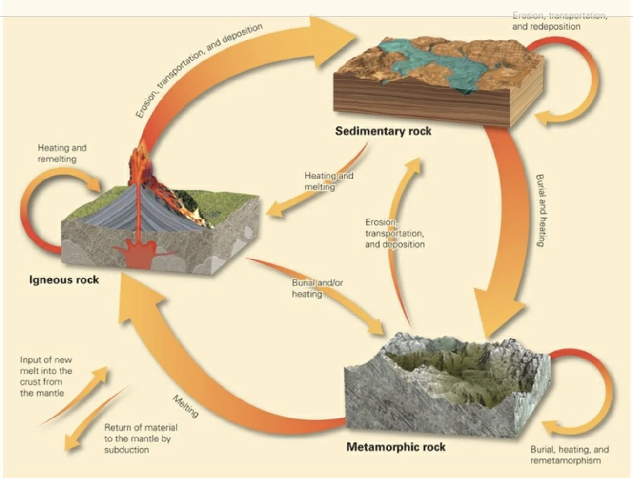 The Rock Cycle.jpeg