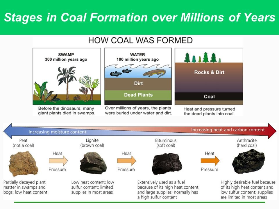 Types of Coal.jpg