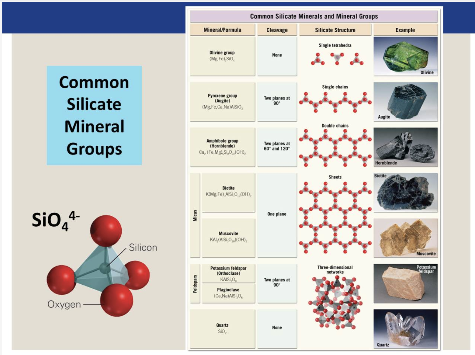 Common Silicate Minerals.png