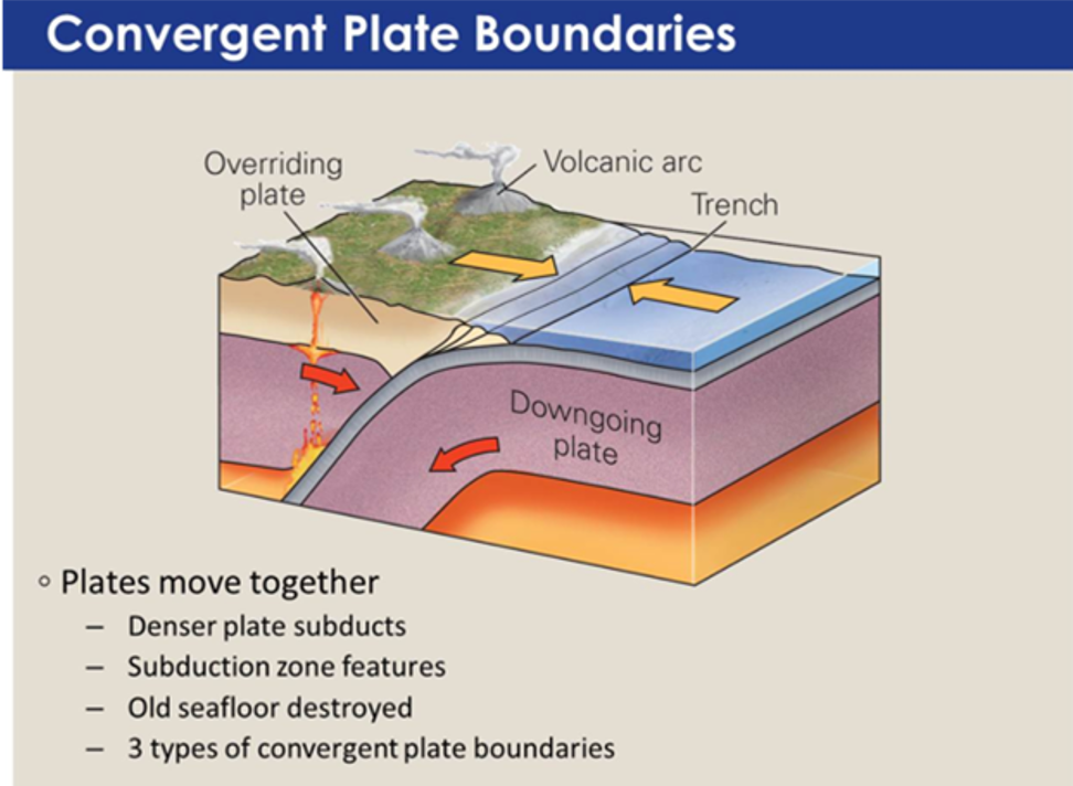 Convergent Plate Boundaries Overview.png