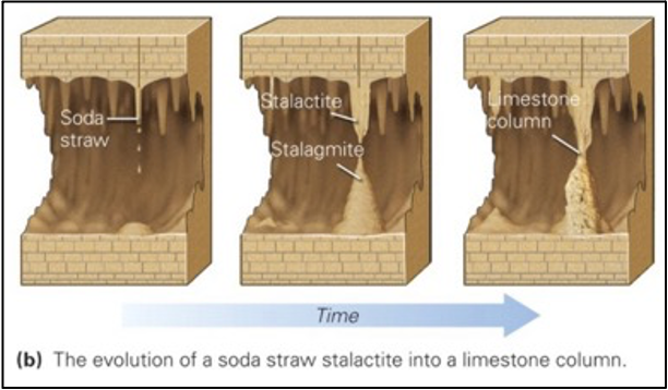 Evolution of a Soda Straw.png