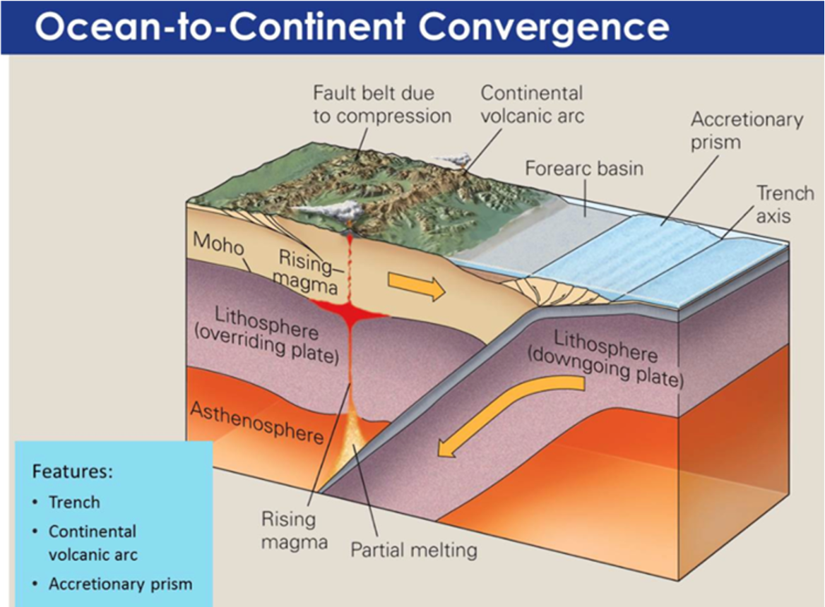 Ocean to Continent Convergence.png