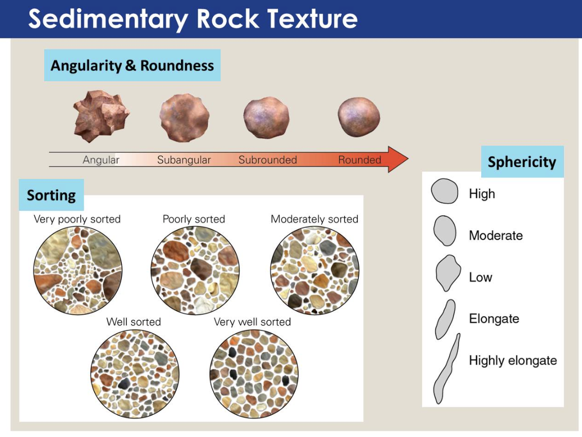 Sedimentary Rock Texture.png