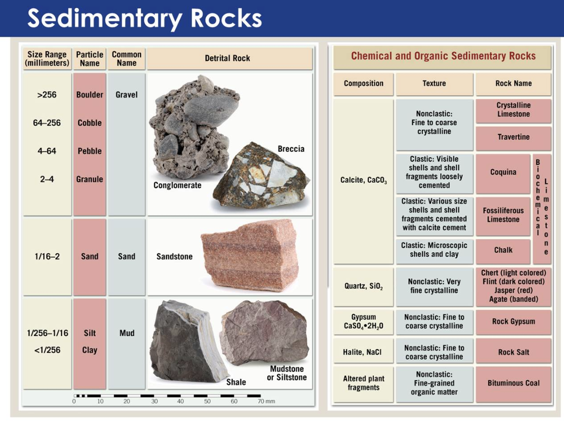 Sedimentary Rocks 2.png