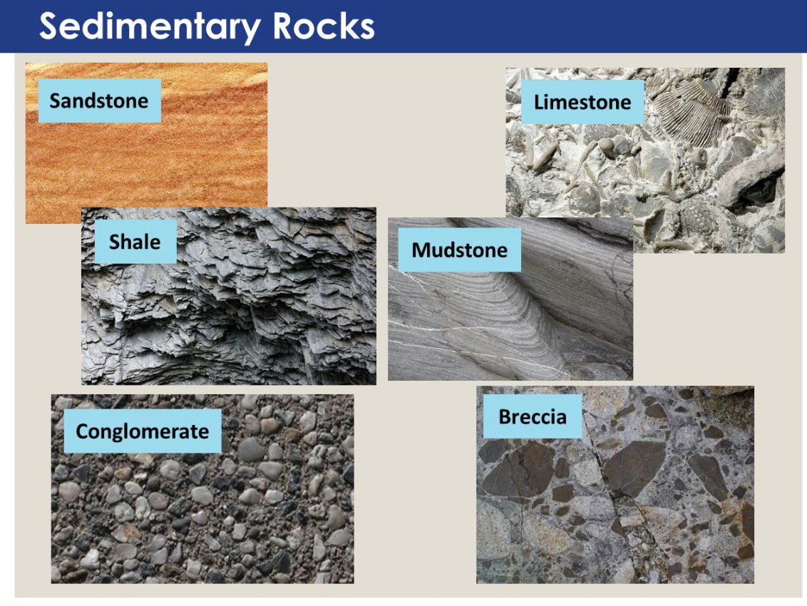Sedimentary Rocks.png