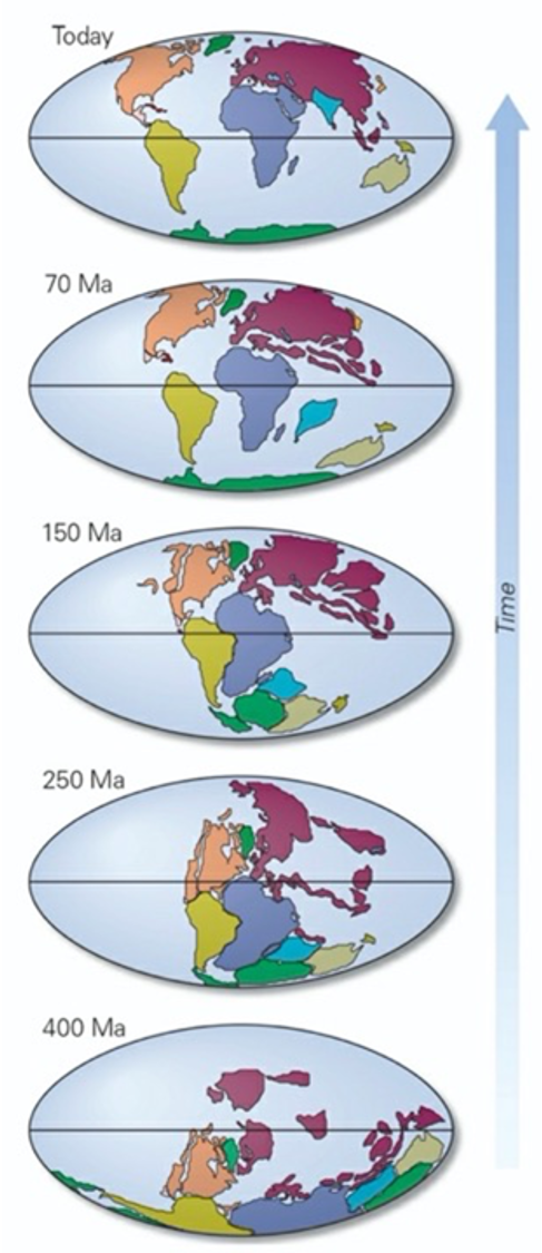 The Continents over Time.png