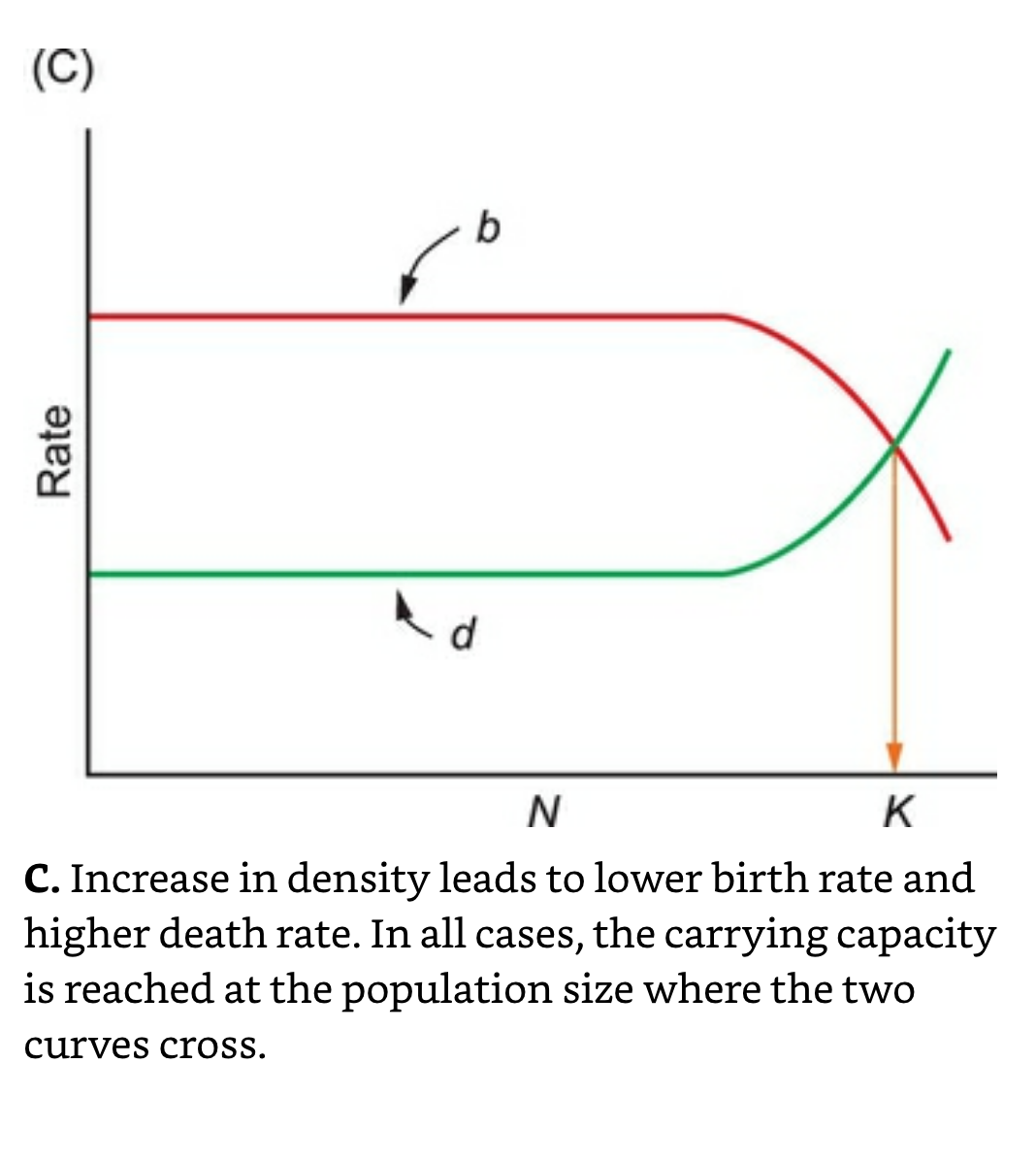 Birth-Death-Carrying Capacity.png