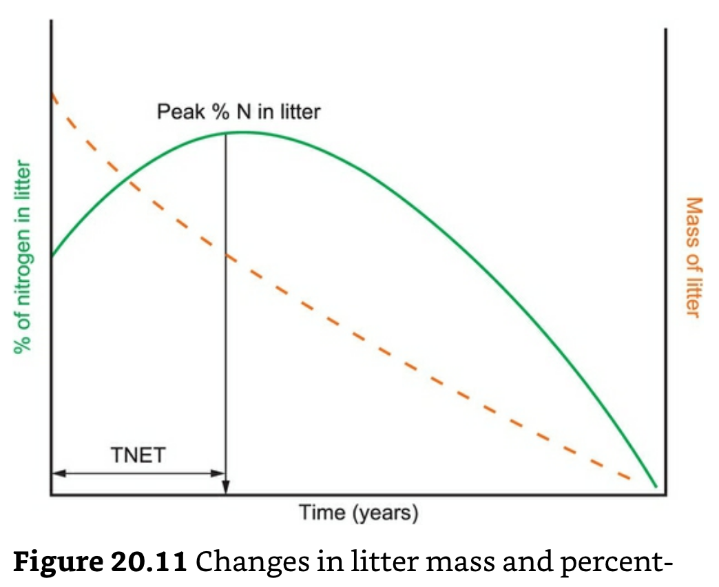 Changes in N Little Mass and Percent.png