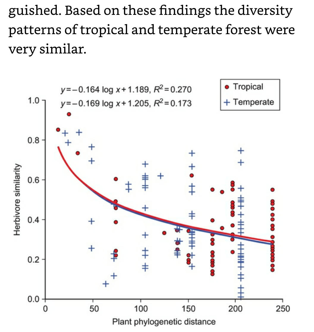 Diversity of Patterns of Tropical and Temperate Forests.png