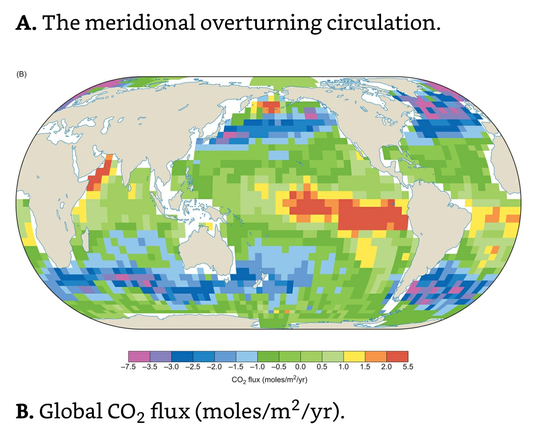 Global CO2 flux.png