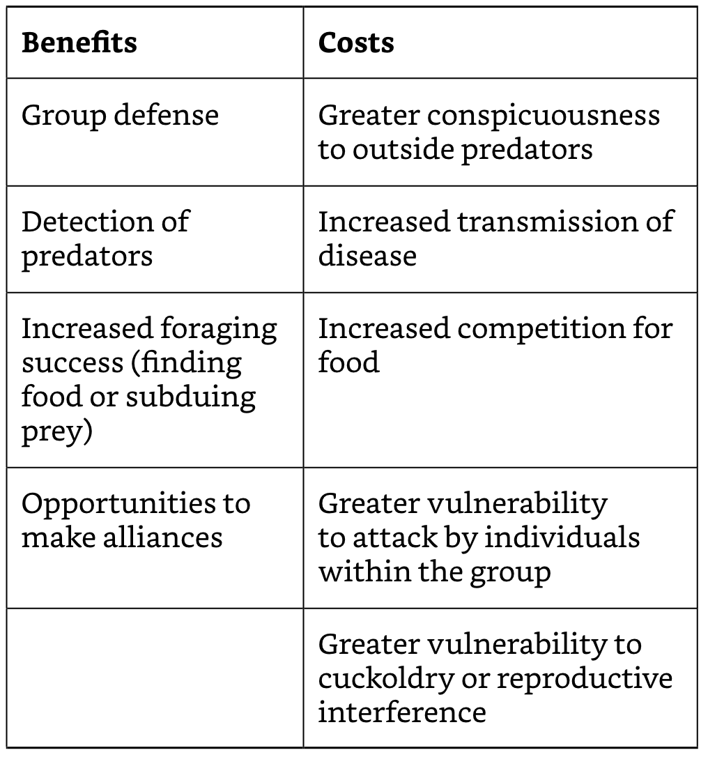 Group Costs and Benefits.png