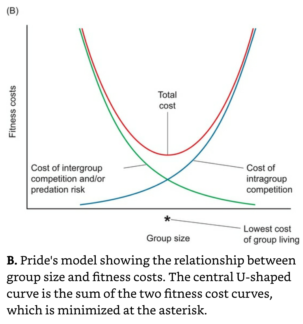 Group Size and Fitness Costs.png