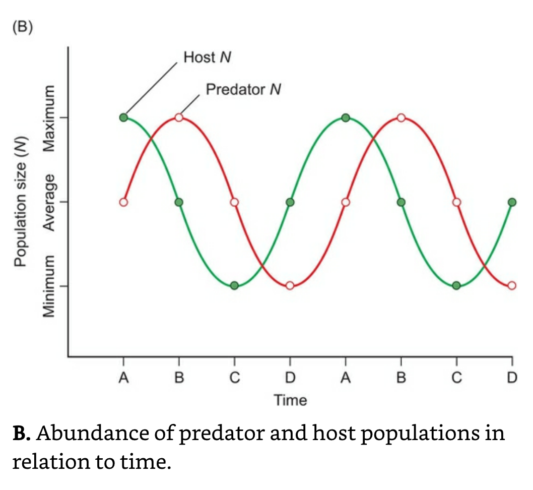 Host and Predator Population over time.png