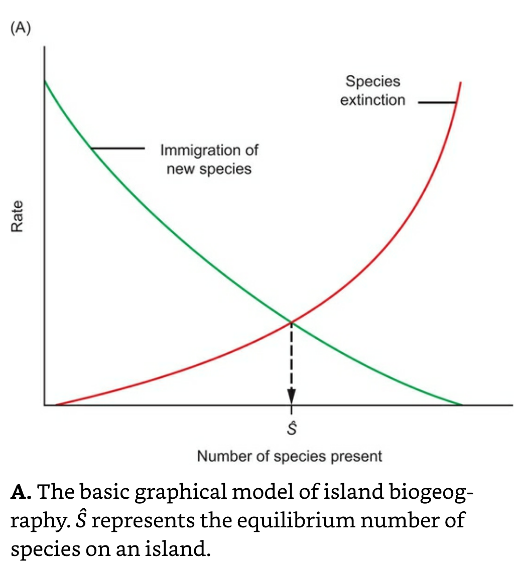 Island Biogeography Basics.png