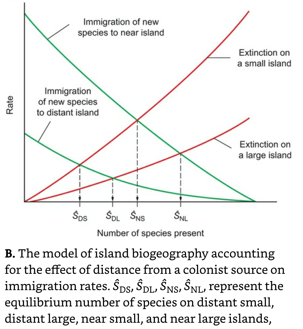 Island Biogeography Model.png