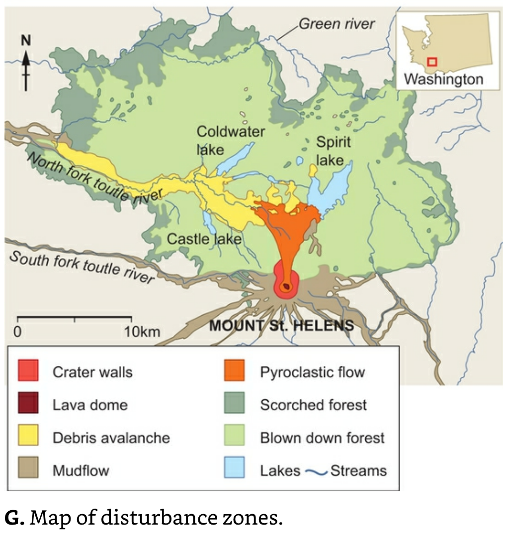 Mt Rainier Disturbance Zones.png