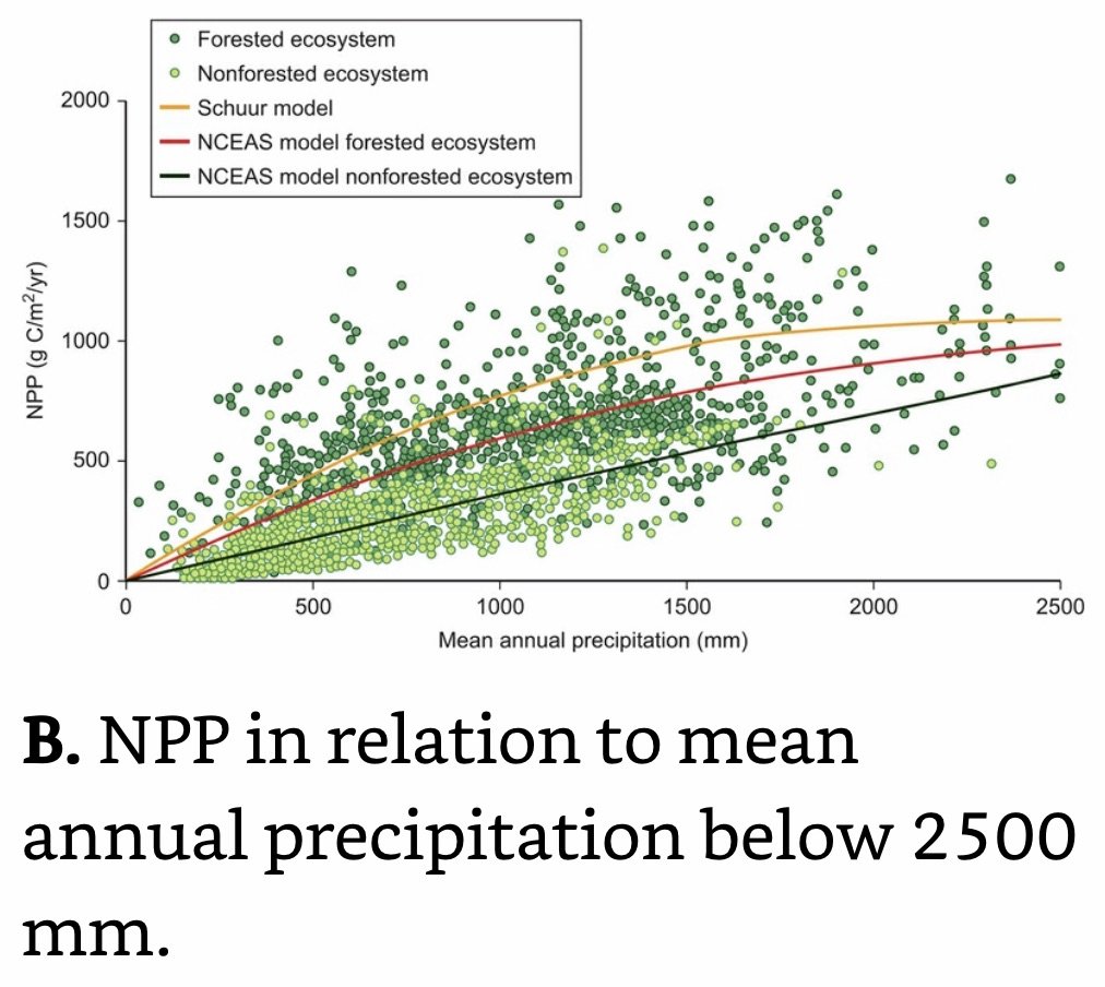 NPP in relation to mean annual precipitation below 2500mm.jpeg