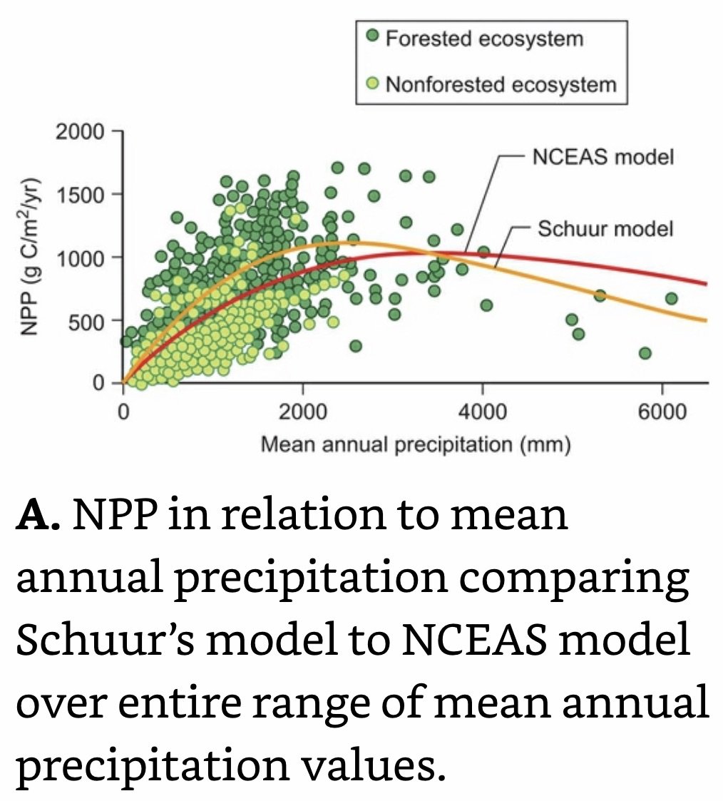 NPP in relation to mean annual precipitation.jpeg