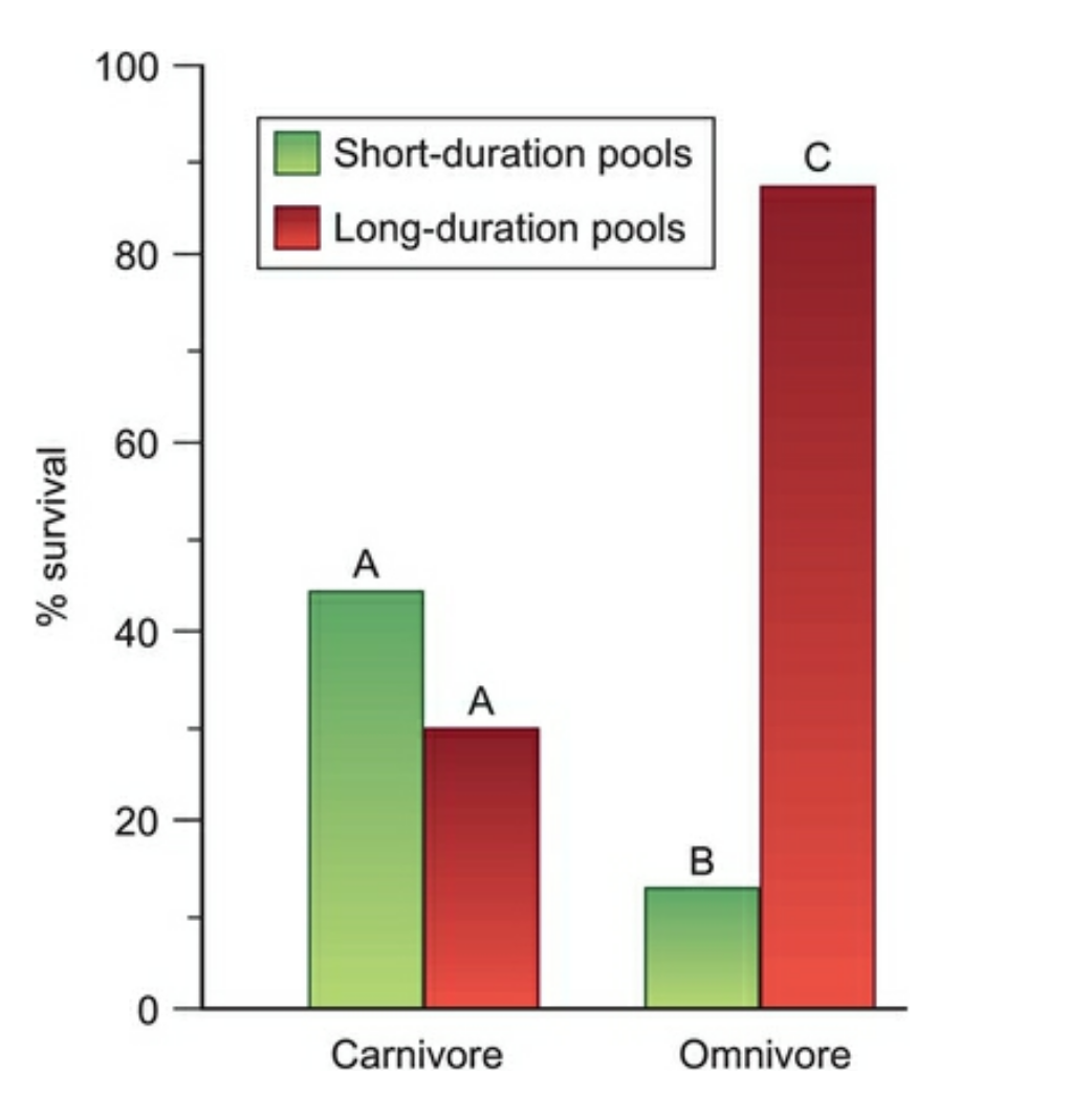 Omnivores and Carnivores in Short and Long Duration Desert Frog Pools.png