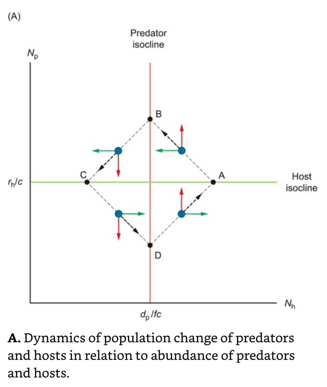 Population Dynamics.png