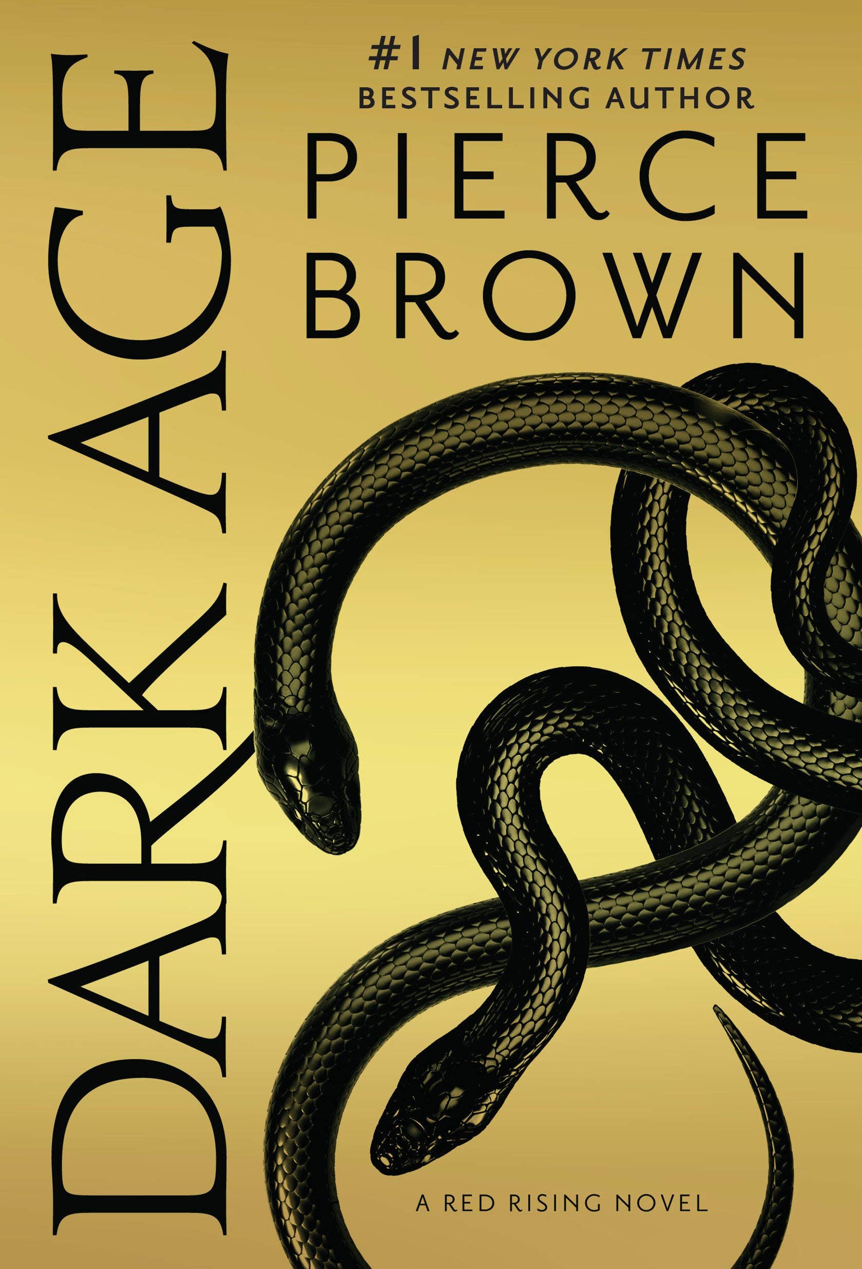Dark Age by Brown