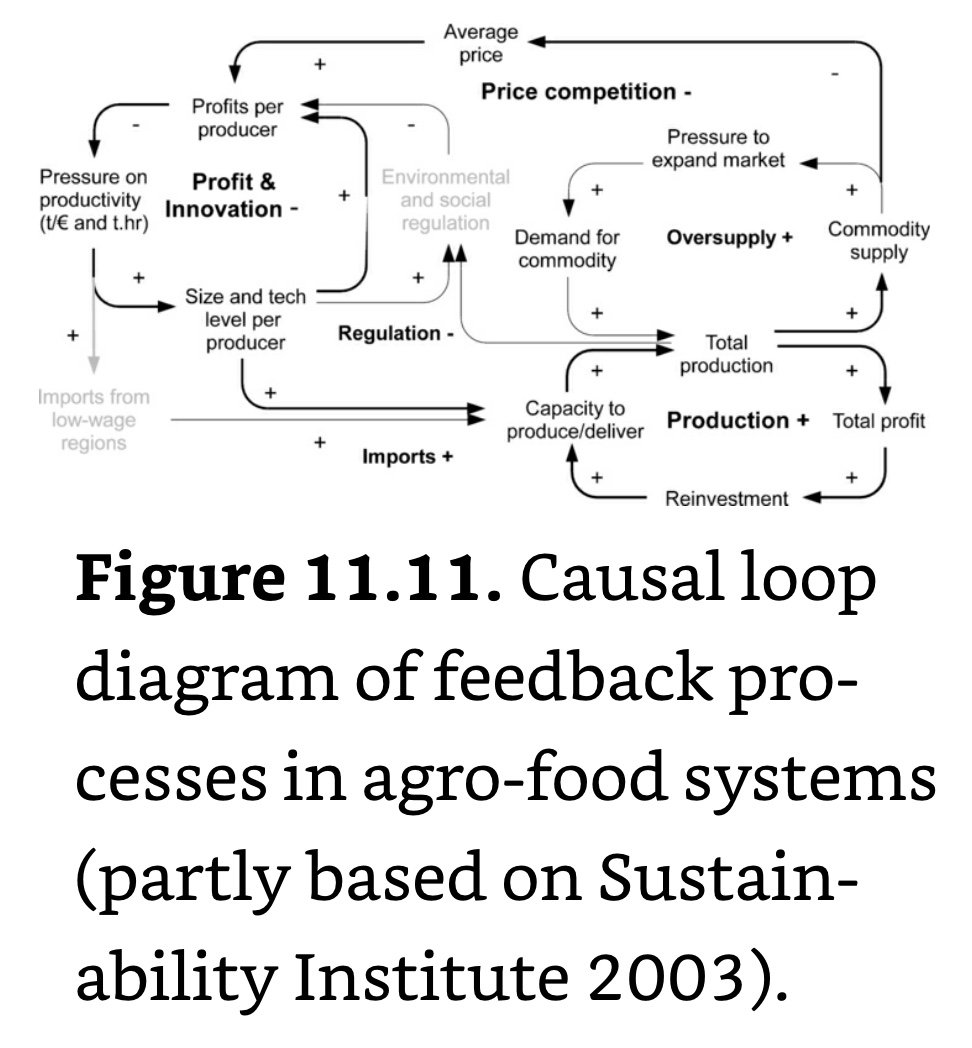 Agro Food System Causal Feedback Loops.jpeg