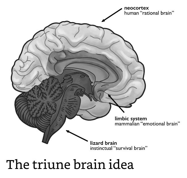 Triune Brain Idea.jpeg