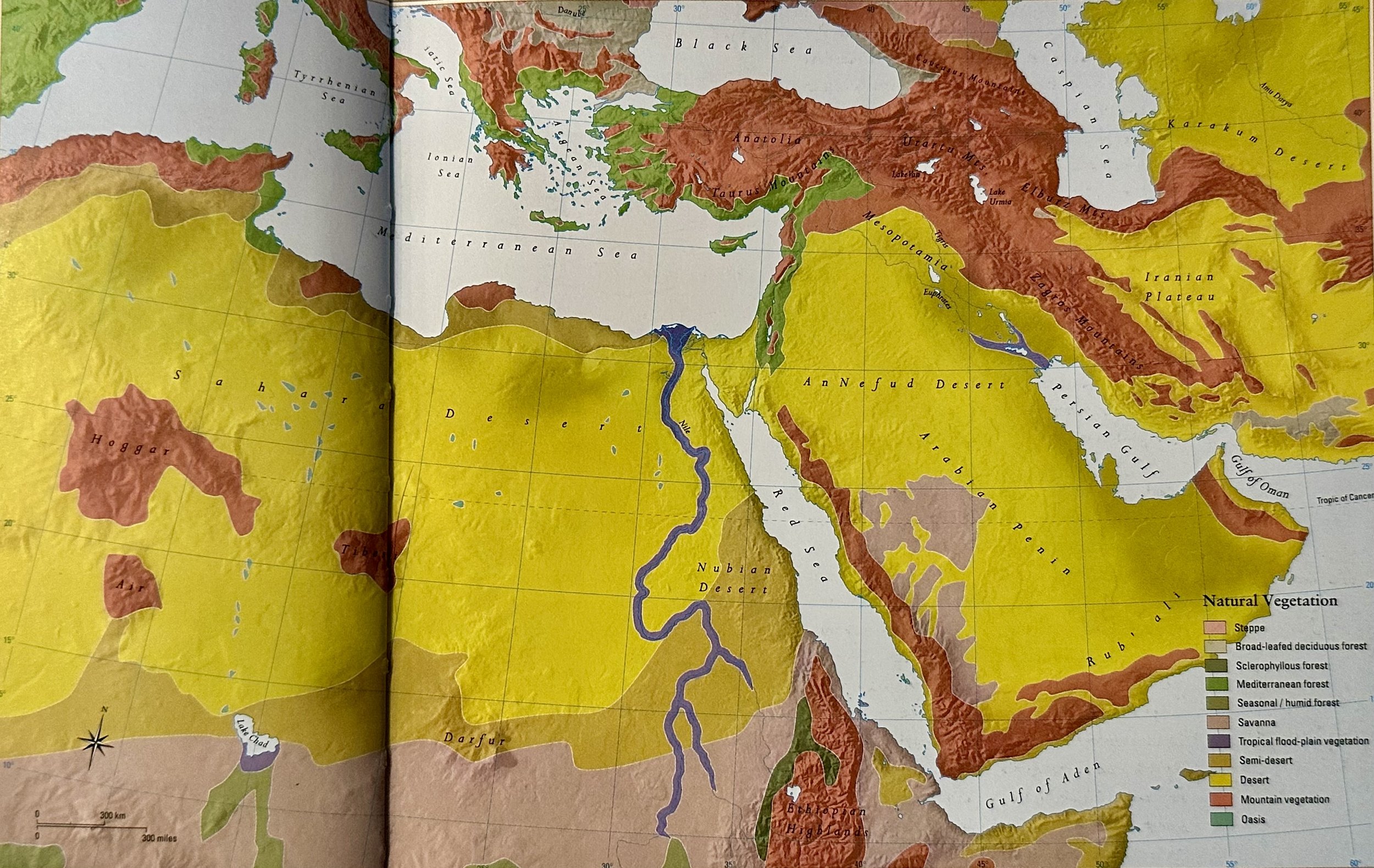 Natual Vegetation of the Ancient Near East Atlas of the Bible.jpeg