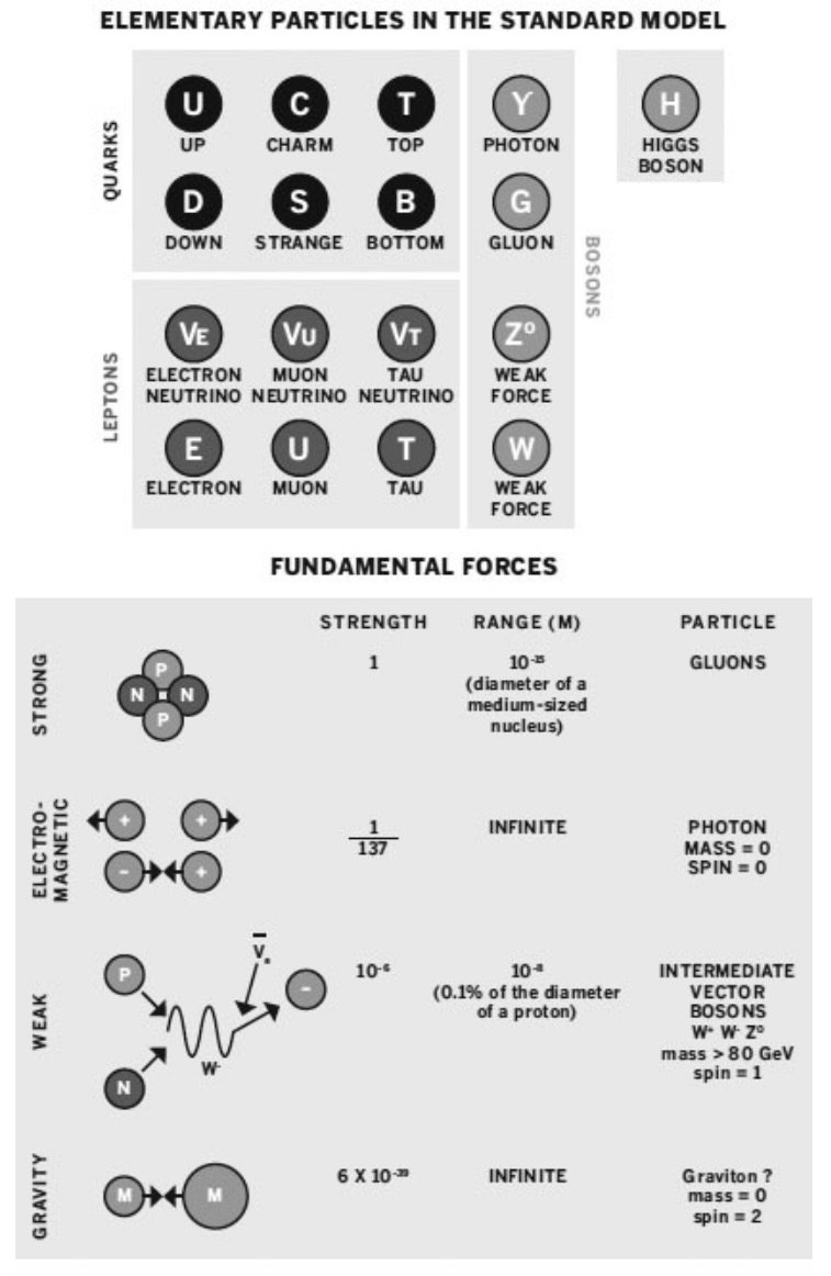 Elementary Particles and Fundamental Forces.jpeg