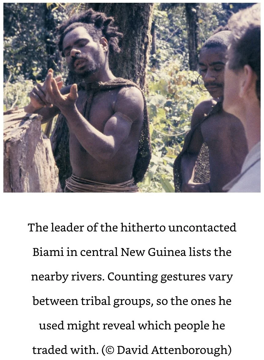 Biami Tribe in Central New Guinea Attenborough.jpeg