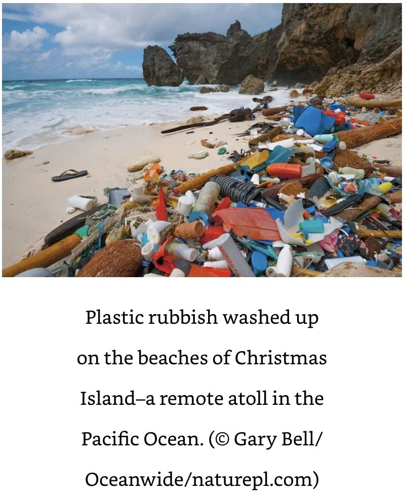 Christmas Island Trash Attenborough.jpeg
